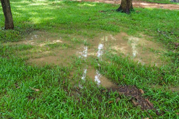 Cost of Storm Water Drainage Service in Richardson