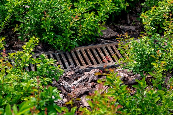 Cost of Underground Drainage Service in Richardson