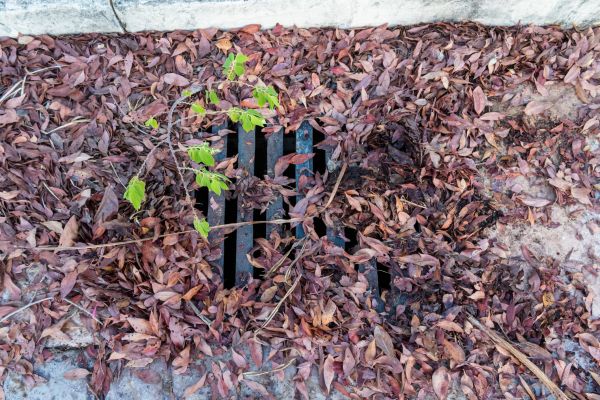 Cost of Yard Drain Unclogging in Richardson