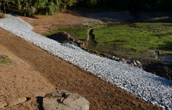 Cost of Landscape Swales Installation in Richardson
