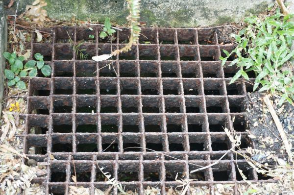Cost of Yard Drain Cleaning in Richardson