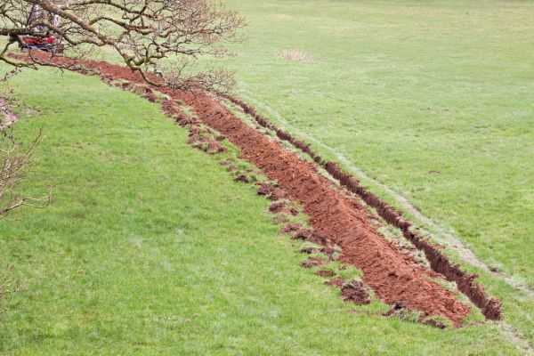 Cost of Swale Installation in Richardson