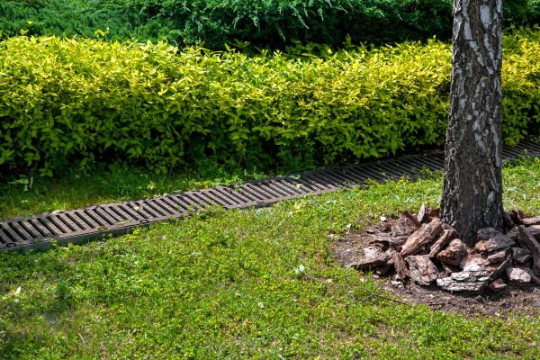 Cost of Residential Landscape Drainage in Richardson