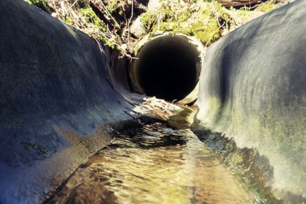 Cost of Drainage Swale Installation in Richardson